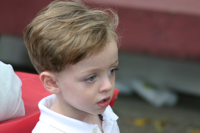 Click for original image 172k 1229x819